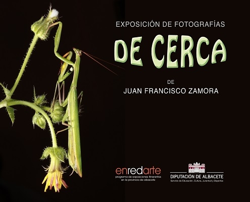Exposición 'De cerca'. Juan Francisco Zamora.