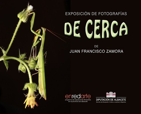 De cerca Juan Francisco Zamora