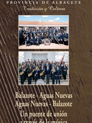 33 TC portada