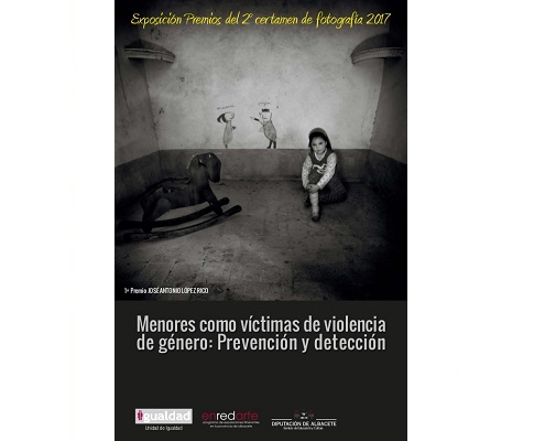Violencia de g&eacute;nero. Premios de 2017
