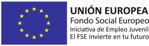 Fondo Social Europeo Empleo Juvenil