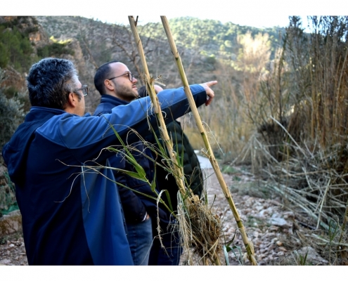 Fotografía segunda de la noticia