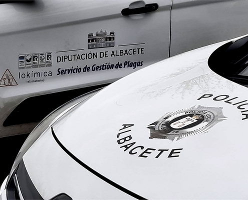Fotografía primera de la noticia