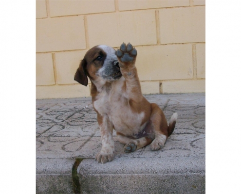 Fotografía segunda de la noticia