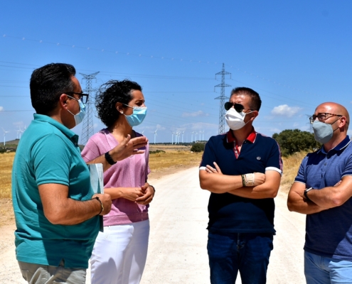 El presidente y el vicepresidente de la Diputación visitan con el delegado provincial de Agricultura de la JCCM y alcaldesa de Higueruela un cami ...