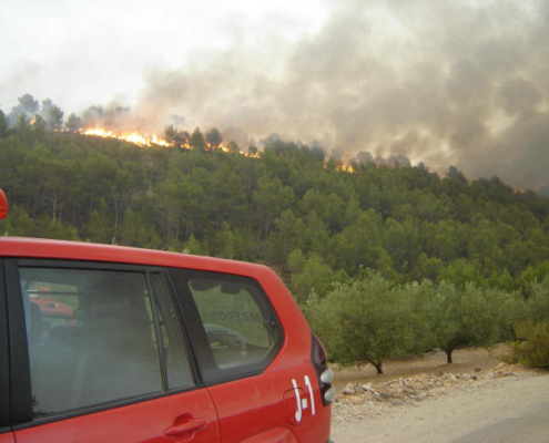 Incendio Forestal provincia de Valencia (término de Carlet)_30_06_12