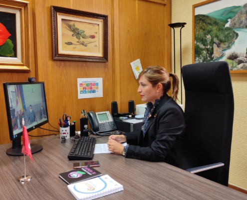 La vicepresidenta de la Diputación y responsable del área Medioambiental, Amparo Torres, durante la celebración virtual de la Mesa del Agua de  ...