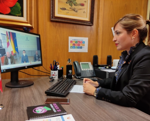 La vicepresidenta de la Diputación y responsable del área Medioambiental, Amparo Torres, durante la celebración virtual de la Mesa del Agua de  ...