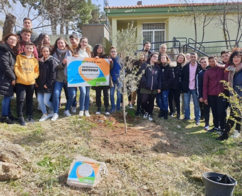 Plantación olivo. Foto archivo Premio Agensa 21 Escolar IES Beneche Yeste