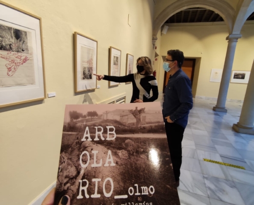 Primer plano del Catálogo de la Exposición 'Arbolario_Olmo' que se exhibe en el Centro Cultural La Asunción