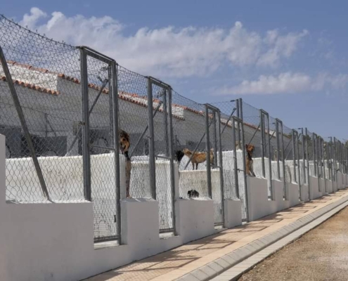 Foto de archivo del Centro de Recogida de Perros de la Diputación