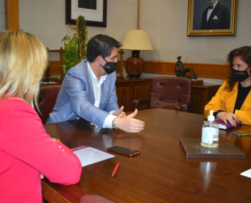 El presidente (Santi Cabañero) y la vicepresidenta (Amparo Torres) de la Diputación de Albacete conversan con la diputada de Modernización e In ...