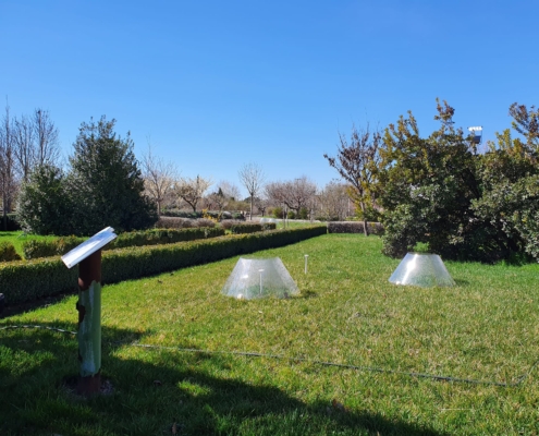 Imagen del proyecto ‘URBANFUN Experiment’ que se desarrolla en el Jardín Botánico y que evalúa los impactos del cambio climático y el mane ...