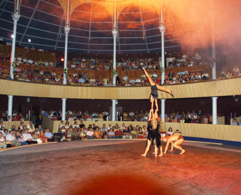 Circo Ocelot, 2002