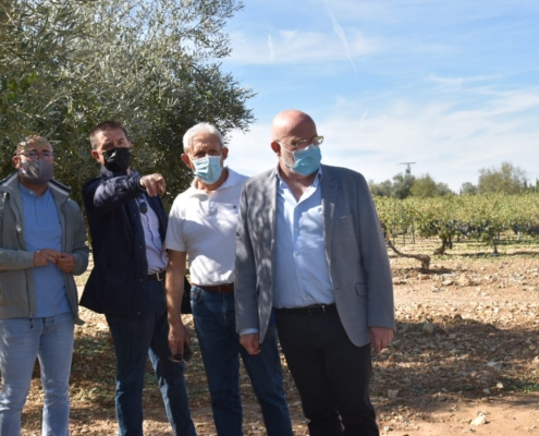 El presidente de la Diputación, el delegado provincial de la JCCM y el delegado provincial de Agricultura comprueban los daños que las tormentas ...