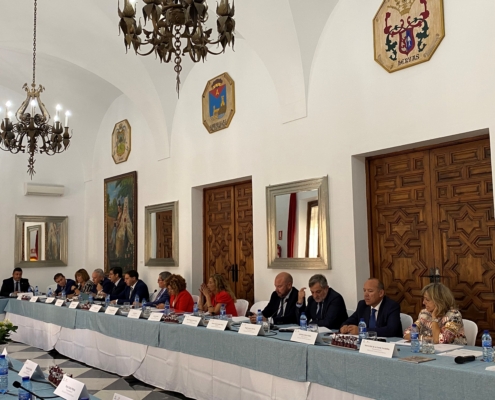 Imagen lateral durante la reunión de la Comisión de Diputaciones, Cabildos y Consejos Insulares de la FEMP celebrada en Cáceres