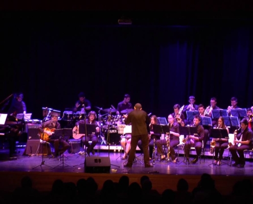 El Real Conservatorio Profesional de Música y Danza de la Diputación de Albacete interpretará villancicos a ritmo de jazz en favor de la asocia ...