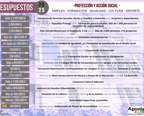 Grandes cifras del área de Protección y Acción Social dentro de los Presupuestos 2023 de la Diputación de Albacete