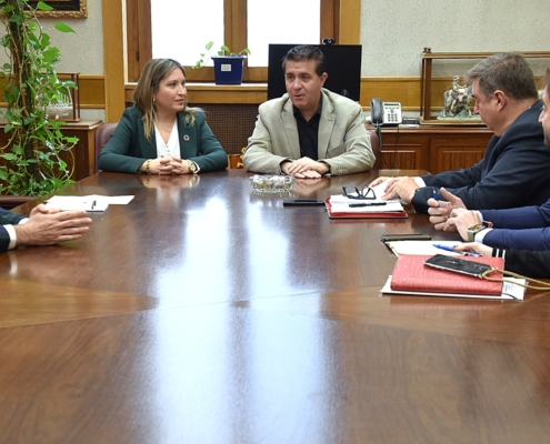 Encuentro de trabajo entre el presidente y la vicepresidenta de la Diputación y representantes del Gobierno de la Comunidad de Madrid sobre Sedip ...