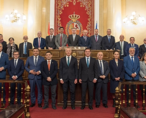 'Foto de familia' del presidente del Senado con los y las integrantes de la Comisión de Diputaciones, Cabildos y Consejos Insulares de la FEMP qu ...