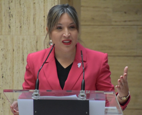 La vicepresidenta provincial durante la presentación de la programación conjunta preparada por la Diputación y el Ayuntamiento de cara a la con ...