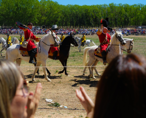 De espaldas, la vicepresidenta provincial mientras contempla la Recreación Histórica de la Batalla de Almansa