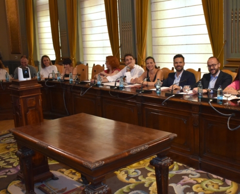 Imagen del Grupo Provincial del PSOE en la sesión del 24 de julio II