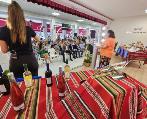 Imagen general del stand de la Diputación durante la presentación de la localidad de Fuentealbilla en el espacio Conoce Nuestros Pueblos