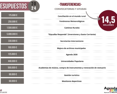 Presupuestos Dipualba 2024 (12)