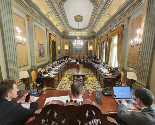 Imagen del Pleno del 8 de febrero de 2024 tomada tras la mesa Presidencial