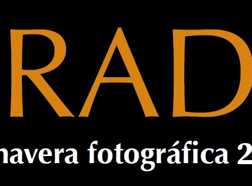 MIRADAS. Primavera fotográfica de Albacete 2024. Convocatoria abierta para presentación de proyectos, hasta el 7 de marzo.