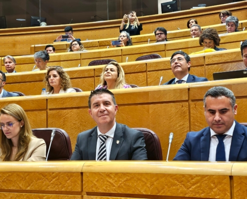 Imagen del presidente provincial durante la presentación en el Senado sobre el IV Estudio de Evolución de Avances en la España Rural