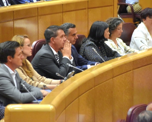 Imagen del presidente provincial durante la presentación en el Senado sobre el IV Estudio de Evolución de Avances en la España Rural