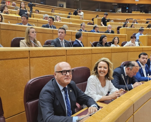 Imagen del presidente provincial durante la presentación en el Senado sobre el IV Estudio de Evolución de Avances en la España Rural