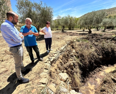 Visita a las labores que se realizan en La Recueja tras la DANA del 29 de junio