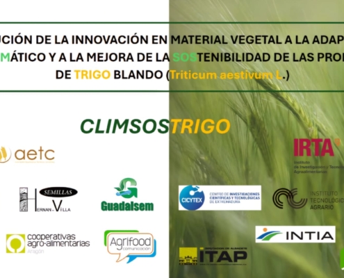 Imagen proyecto CLIMSOSTRIGO