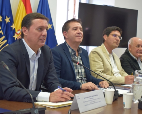 Cabañero participa en la reunión de la Subcomisión Permanente de la Comisión de Diputaciones de la FEMP