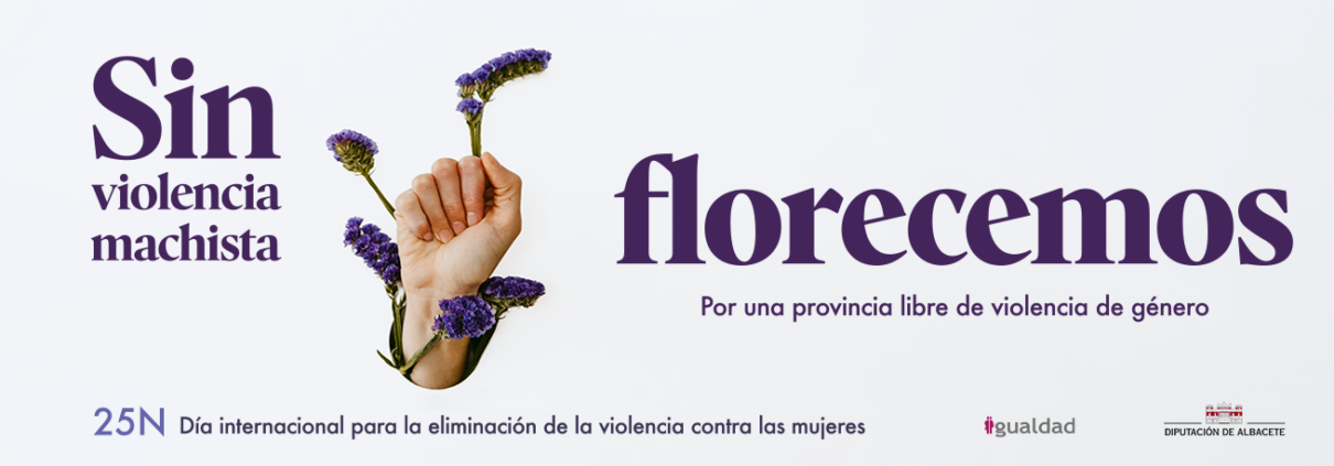 Día Internacional para la eliminación de la violencia contra las mujeres