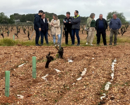 Cabañero visita Madrigueras y Tarazona de la Mancha para conocer los daños causados por la fuerte tormenta de granizo y ofrecer el apoyo de la D ...