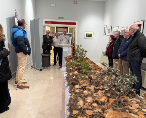 El Chal&eacute; Fontecha acoge, hasta el 15 de enero, la exposici&oacute;n &lsquo;Setas y Hongos de Albacete&rsquo; de la mano del IEA y la Sociedad Micol&oacute;gica