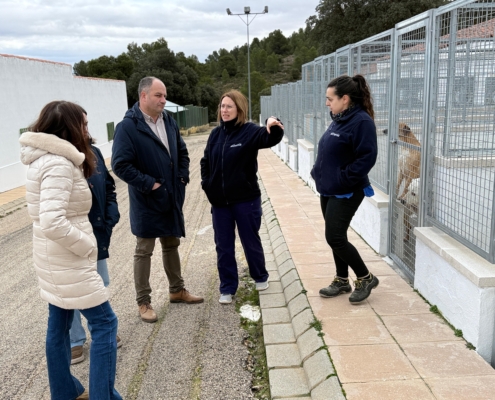 La Diputaci&oacute;n de Albacete refuerza el bienestar animal en Emperrados con nuevas inversiones y m&aacute;s cheniles