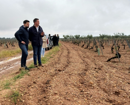 La Diputaci&oacute;n de Albacete resuelve la convocatoria de ayudas para la mejora de caminos rurales con un incremento del 50% hasta los 3 millones de  ...