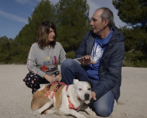 &lsquo;Emperrados&rsquo; muestra el compromiso de la Diputaci&oacute;n de Albacete con el bienestar animal y la adopci&oacute;n responsable a trav&eacute;s de CMM