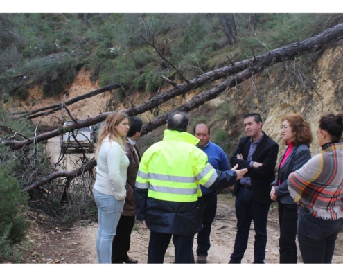 El presidente de la Diputación inspecciona los caminos afectados por la nieve en la comarca de la Manchuela