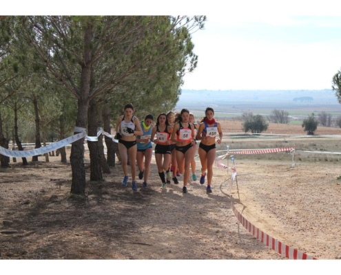 Villamalea acoge este domingo la primera prueba del campeonato escolar de campo a través