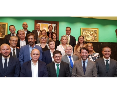 Cabañero participa en la reunión de la Comisión de Diputaciones Provinciales, Cabildos y Consejos Insulares de la FEMP en Tenerife