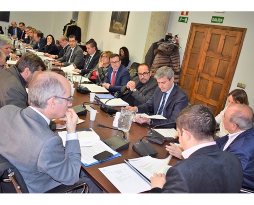 Santiago Caba&ntilde;ero participa en la sesi&oacute;n de trabajo prevista por la Comisi&oacute;n de Diputaciones, Cabildos y Consejos Insulares de la FEMP
