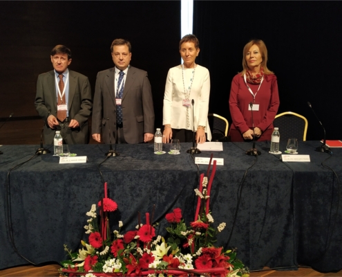 Garc&iacute;a aboga por crear un protocolo de coordinaci&oacute;n entre profesionales que facilite el abordaje de la comunicaci&oacute;n con el paciente hospitalario