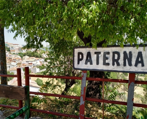 La Historia de Paterna del Madera sale a la luz a trav&eacute;s de un trabajo bibliogr&aacute;fico en el que colabora la Diputaci&oacute;n provincial