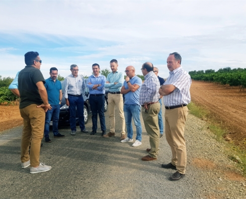 M&aacute;s de 190 km de caminos rurales han sido ya mejorados en la provincia merced al Convenio suscrito entre la Diputaci&oacute;n de Albacete y la JCCM